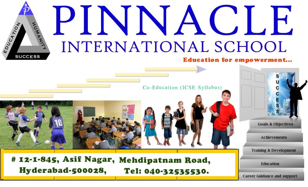 Pinnacle international school